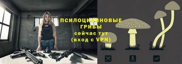 амф Белокуриха