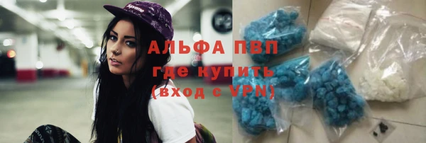 apvp Богородицк