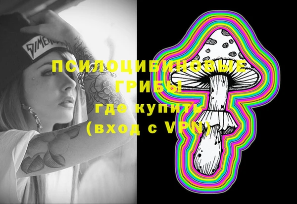 амф Белокуриха