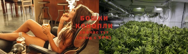 амф Белокуриха
