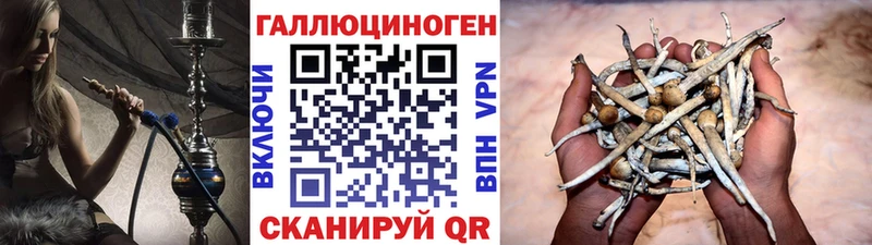 где можно купить наркотик Электроугли Галлюциногенные грибы ЛСД