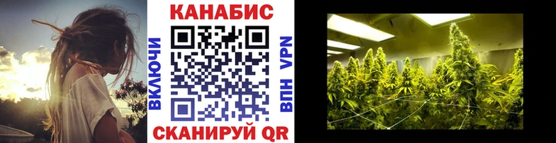 Конопля планчик  Электроугли 
